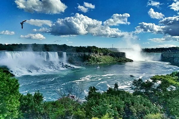 Canadá: Toronto & Niagara
